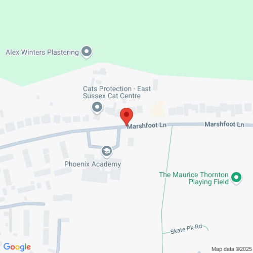 Map of Recent Inspections