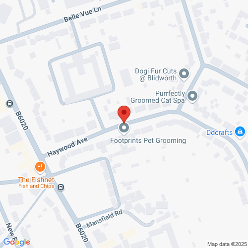 Map of Recent Inspections
