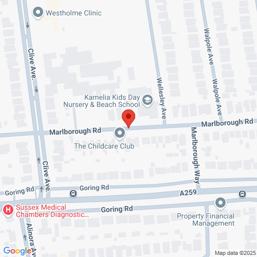 Map of Recent Inspections