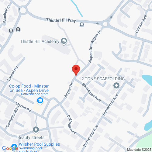 Map of Recent Inspections