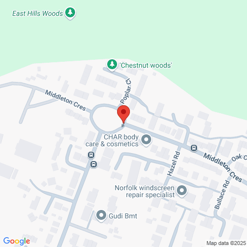 Map of Recent Inspections