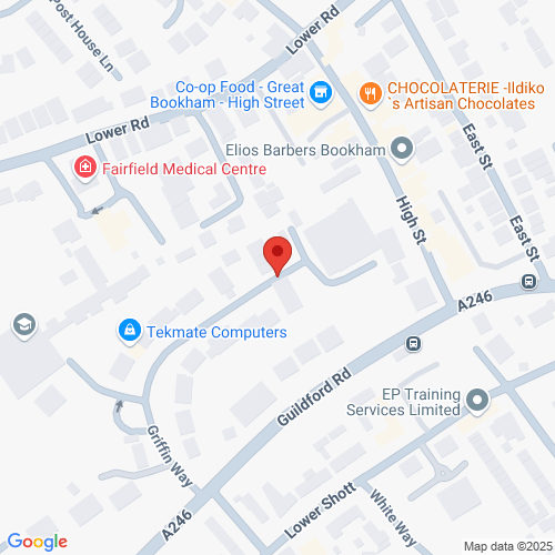 Map of Recent Inspections