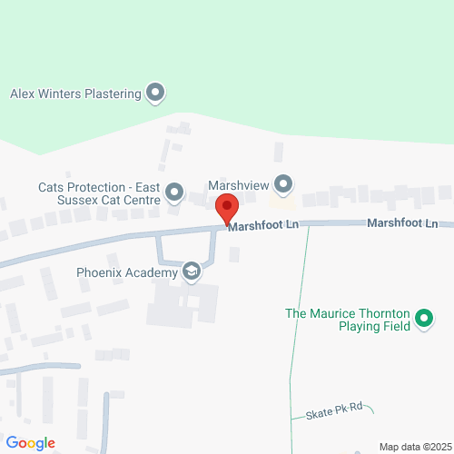 Map of Recent Inspections
