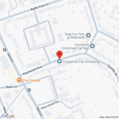 Map of Recent Inspections