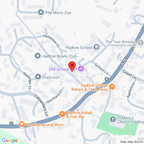 Map of Recent Inspections